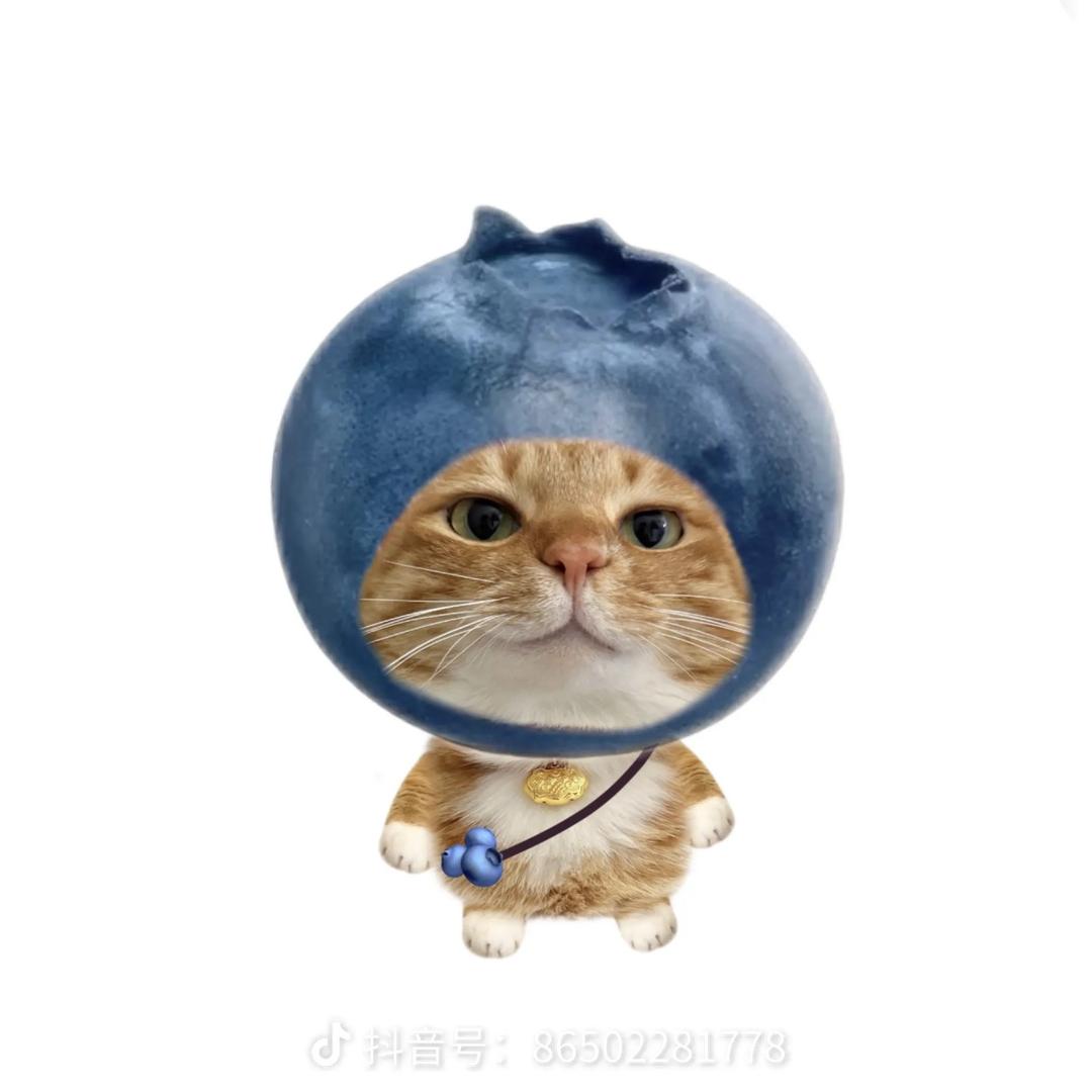 也木兮