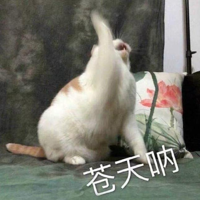 阿瑶吖