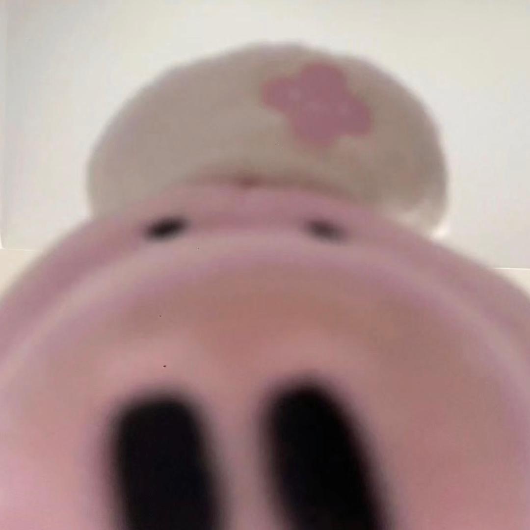 地瓜丸