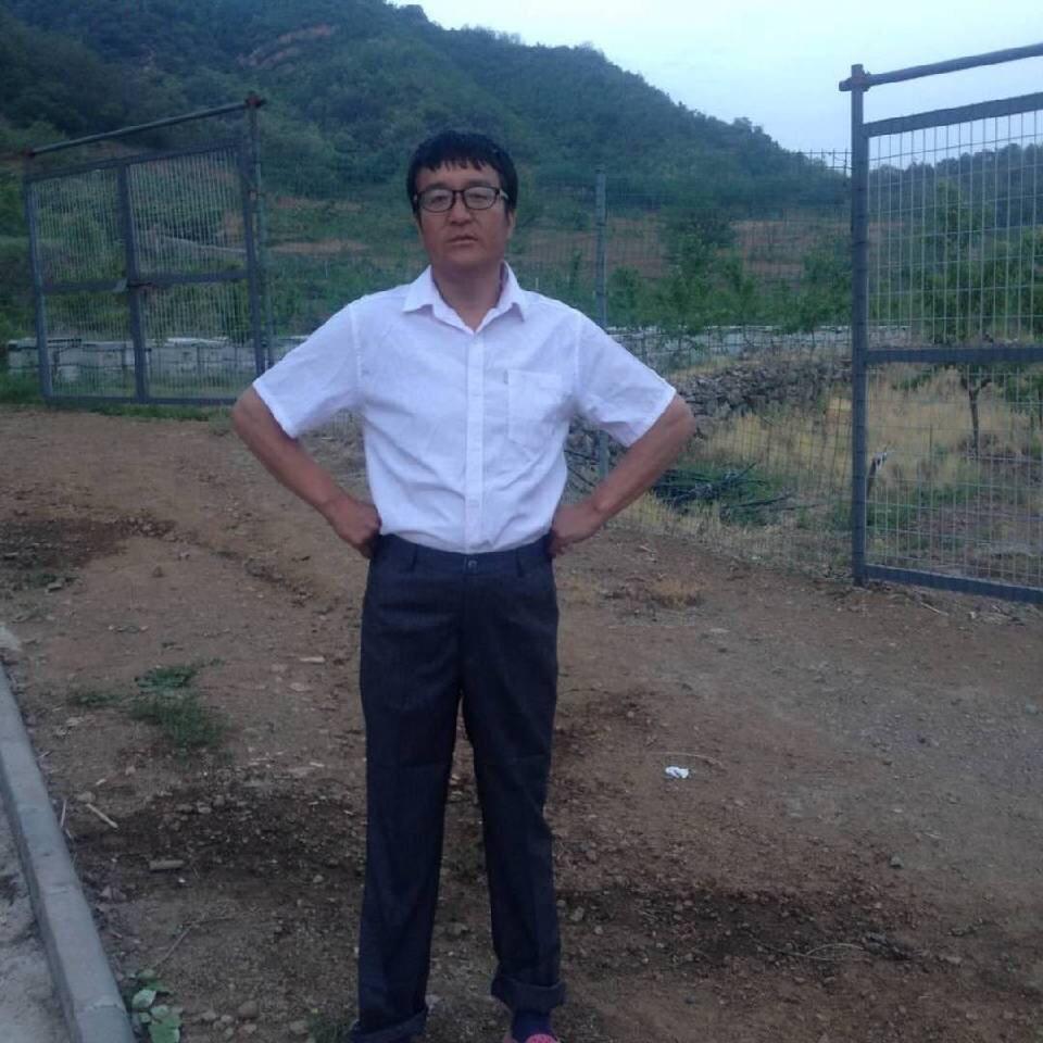 哥是蜂人