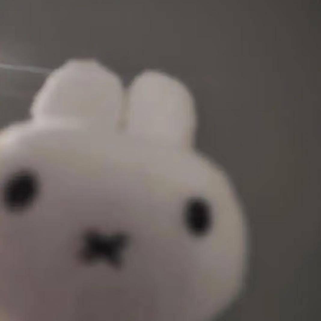 爆米狸花