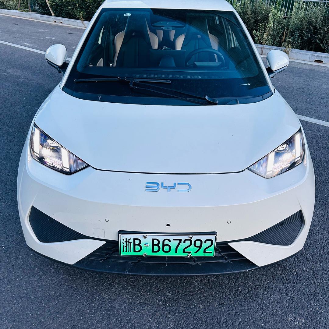 我和我的比亚迪