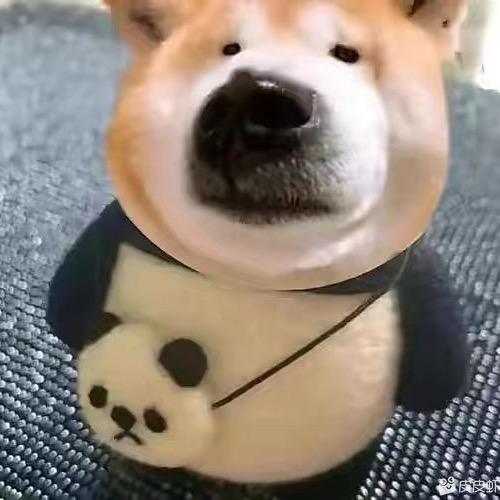 逗逼南波six