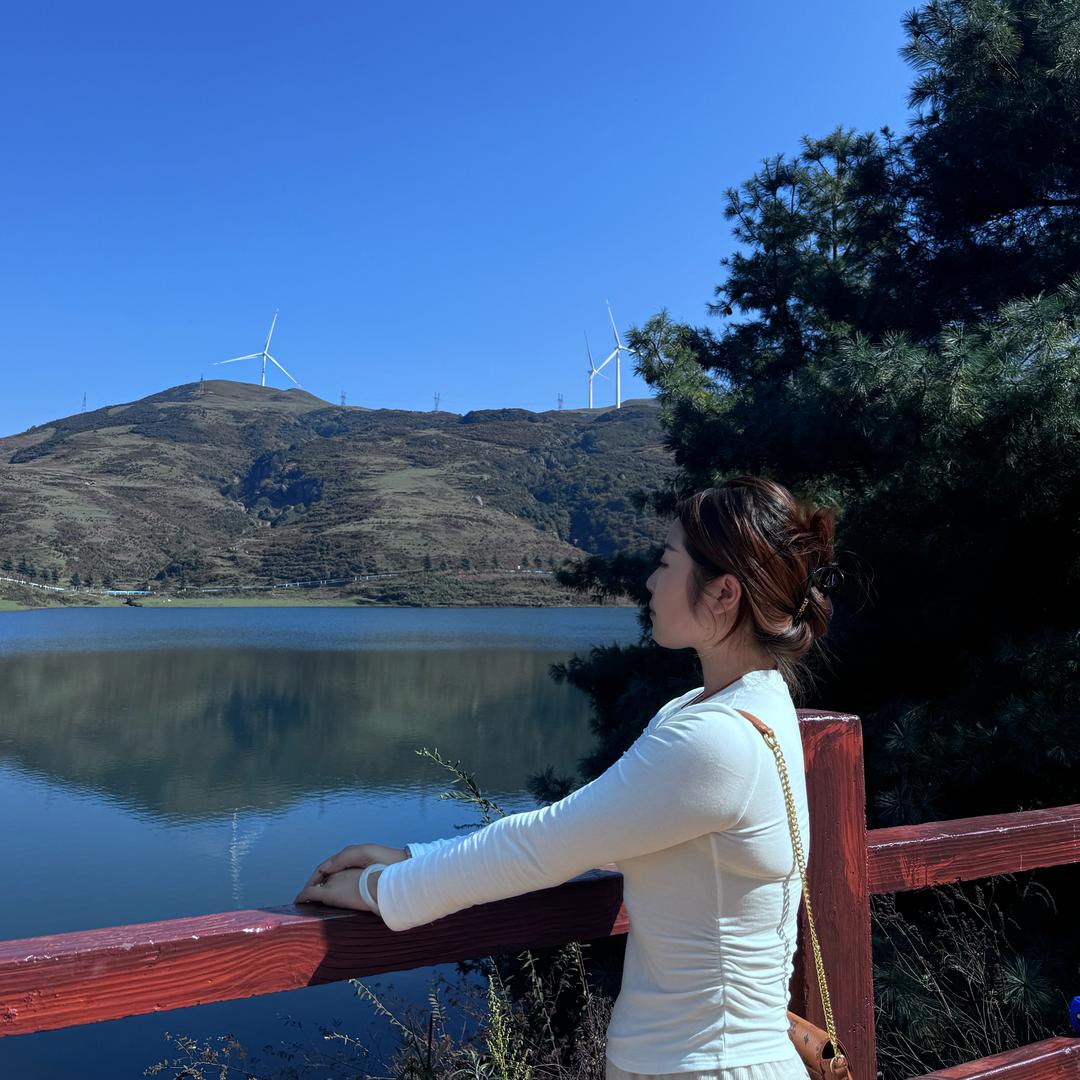 上山找太阳🌞
