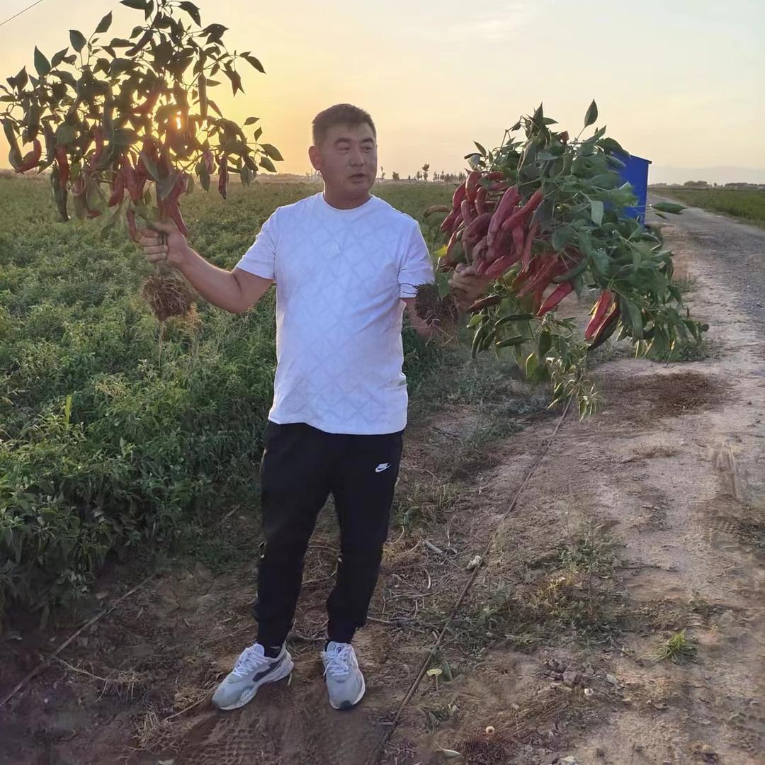 菏泽巨邦人力资源