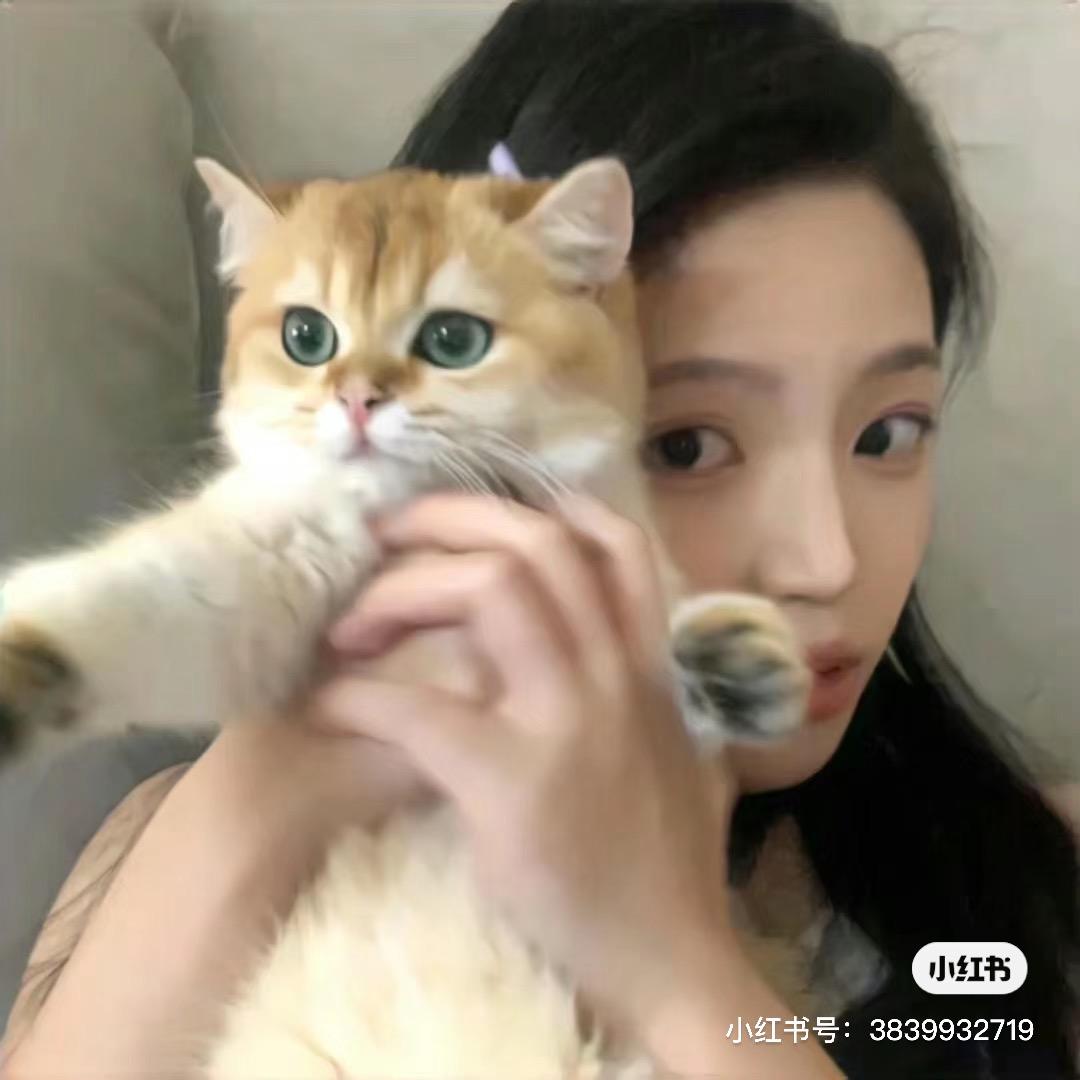 小叶多喝水