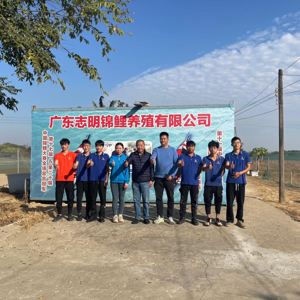 志明锦鲤