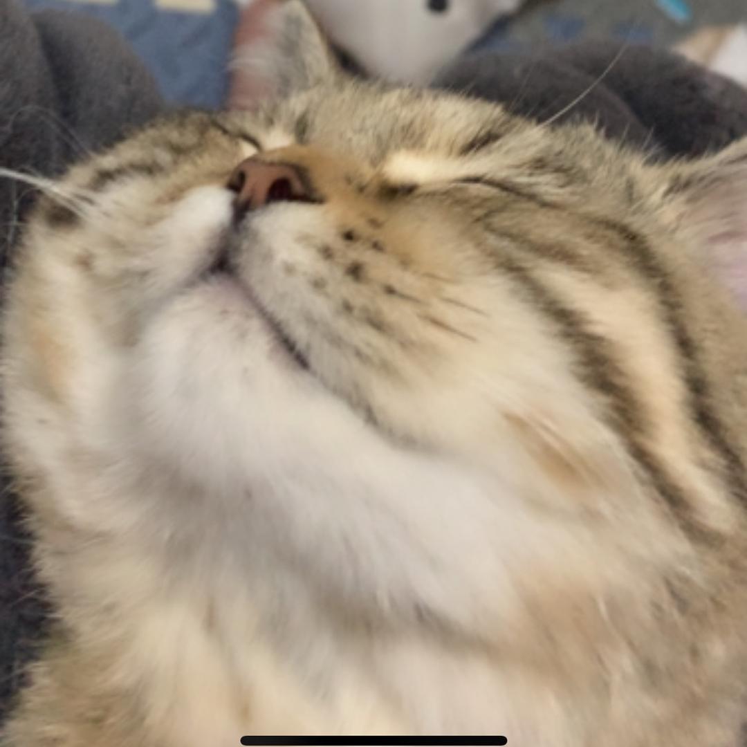 🌈七月啊