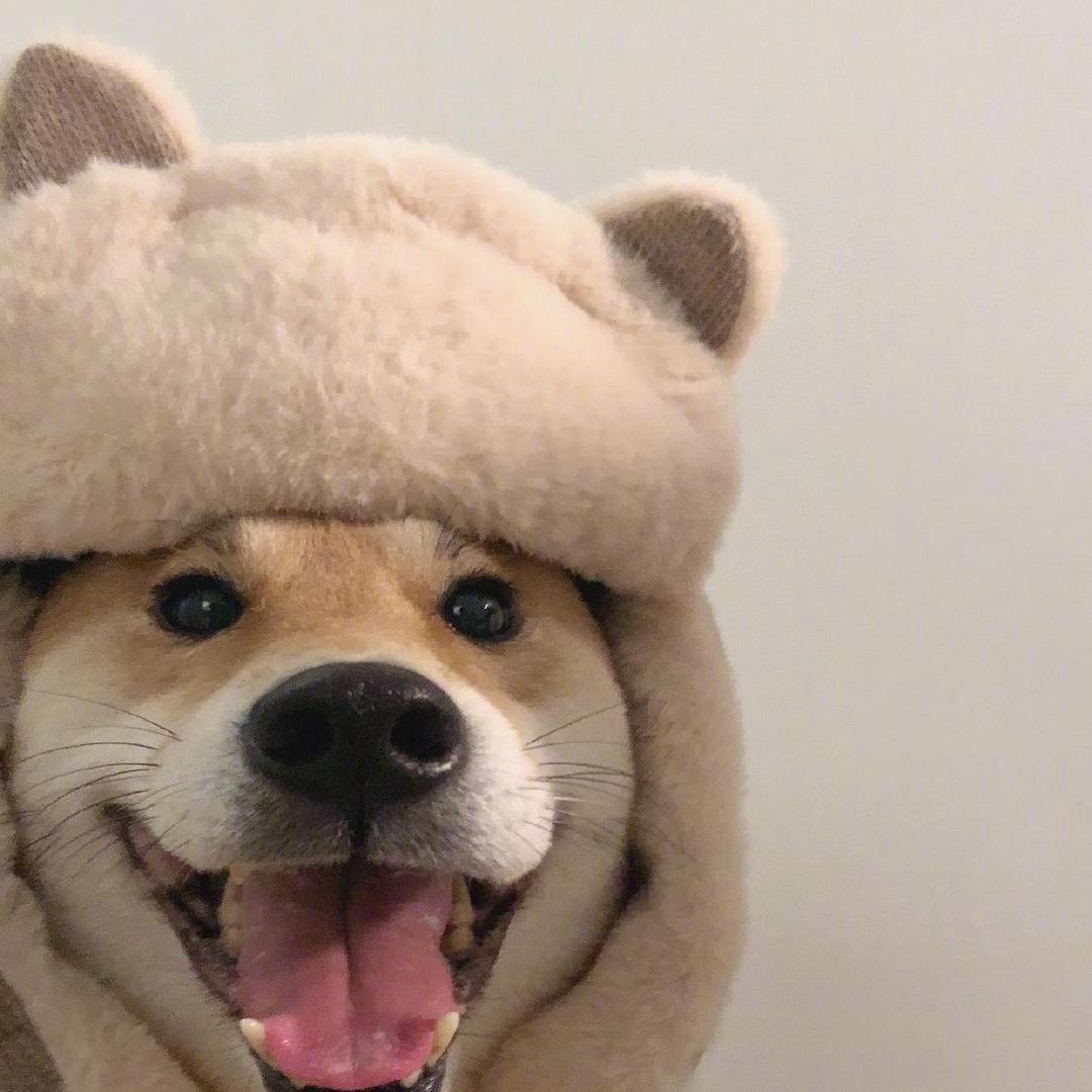 忙忙lulu
