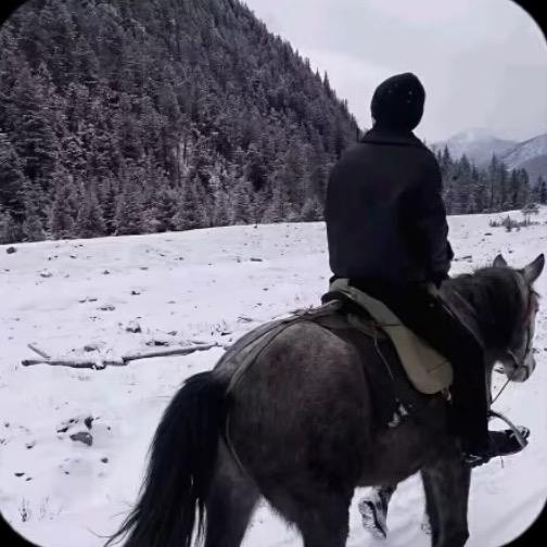 金。