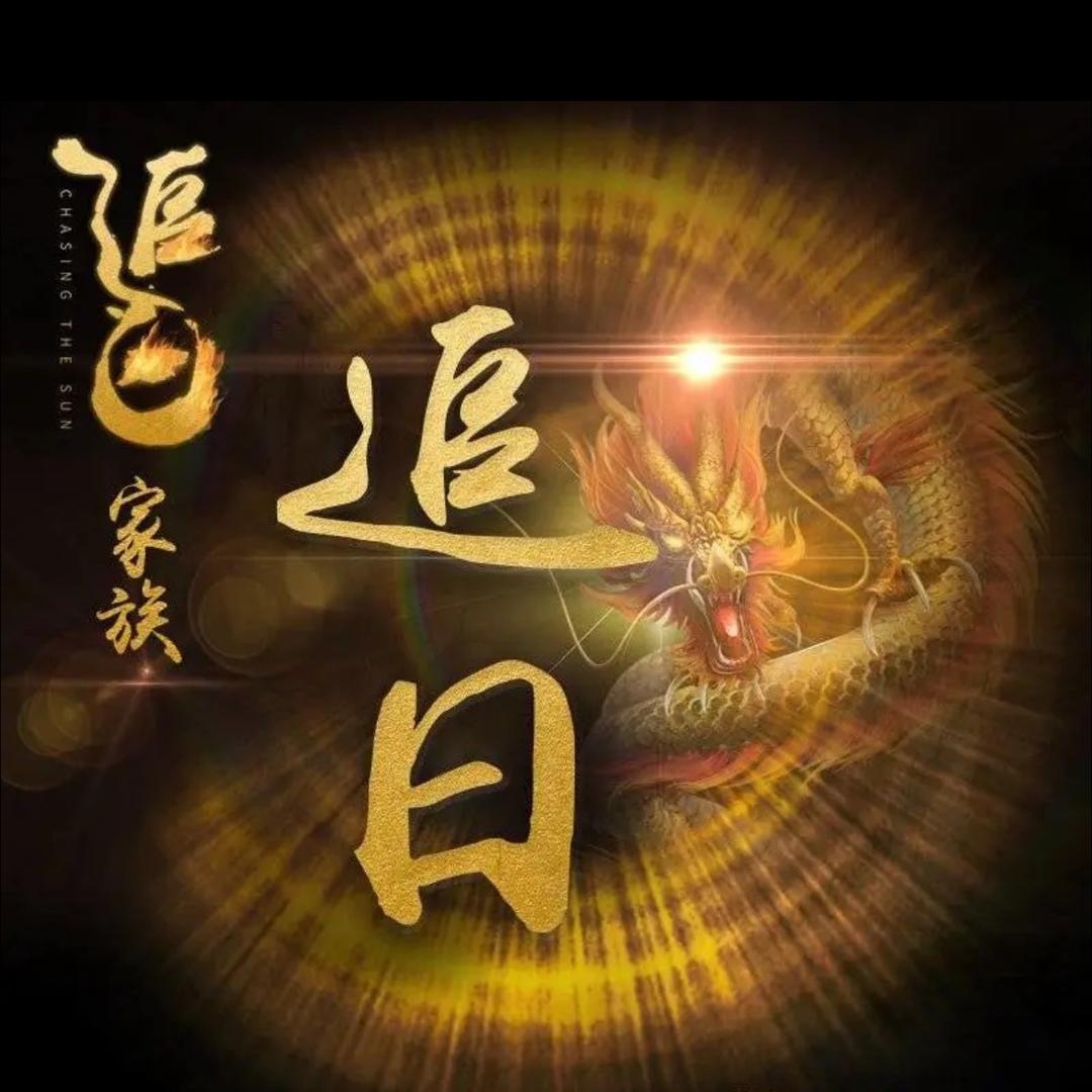 追日