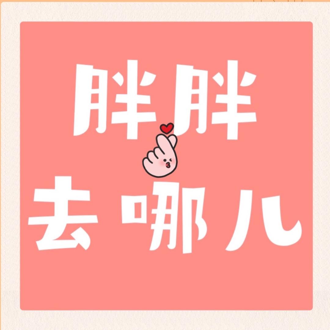 胖胖去哪儿