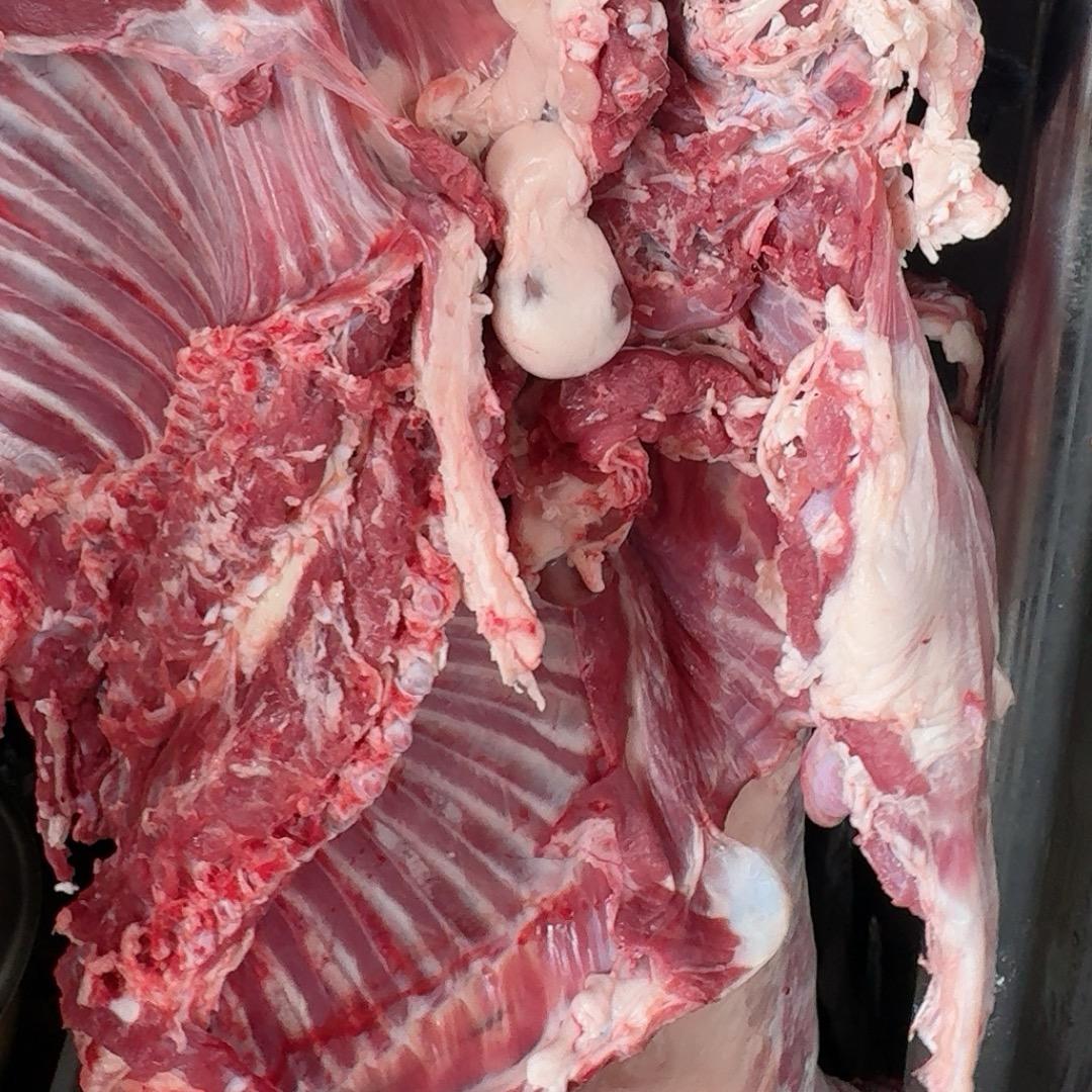 郭屯刘家羊肉馆