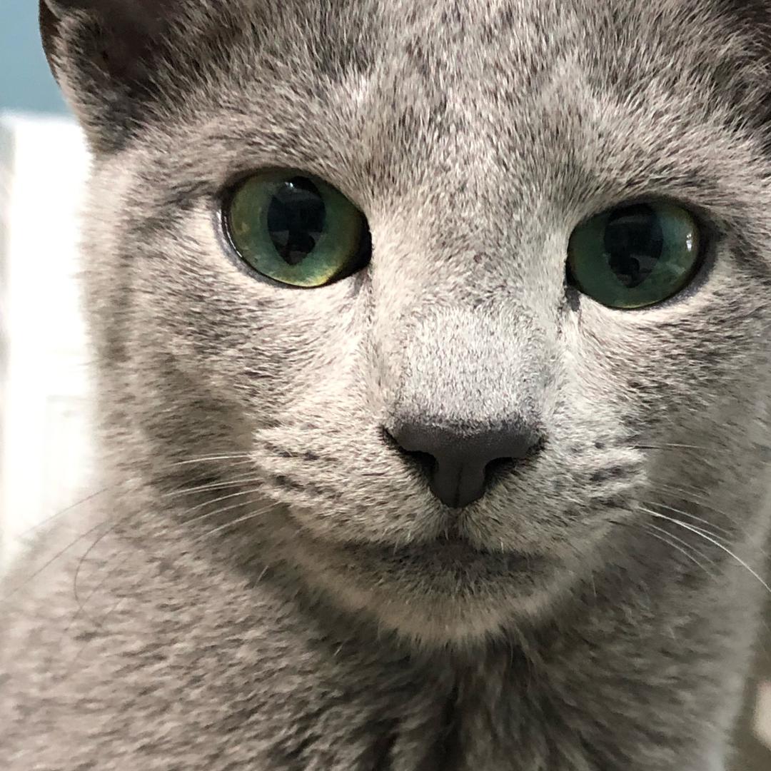 每天笑笑（求关注必回关）