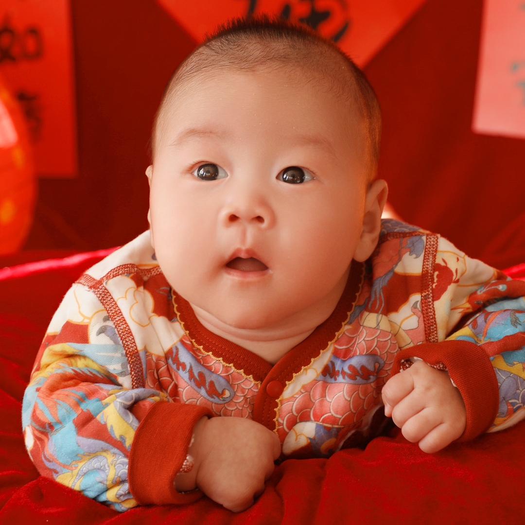 初五的小松果