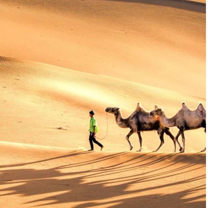 纯天然草碳土批发