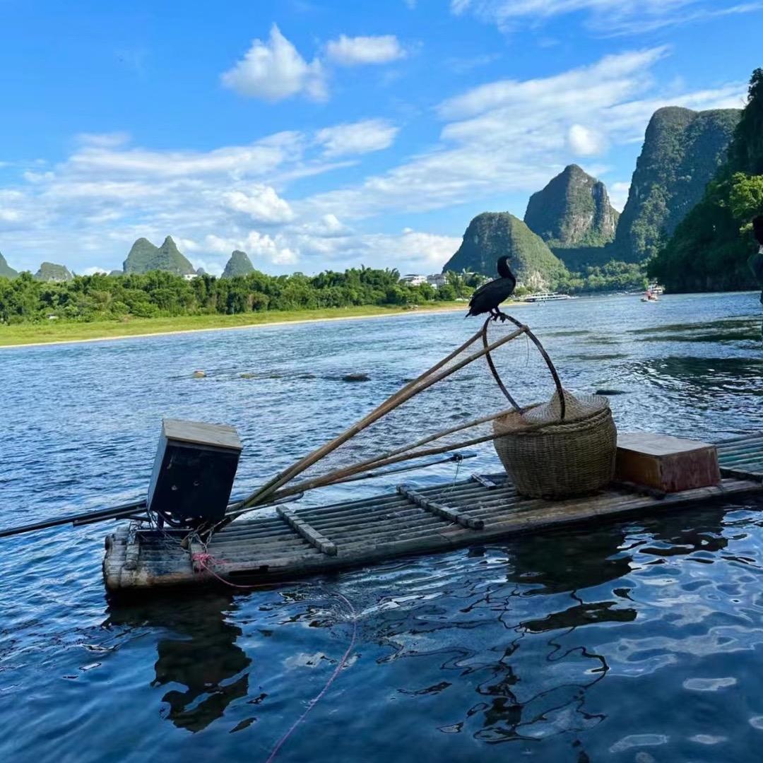 珍惜所有              ☀️