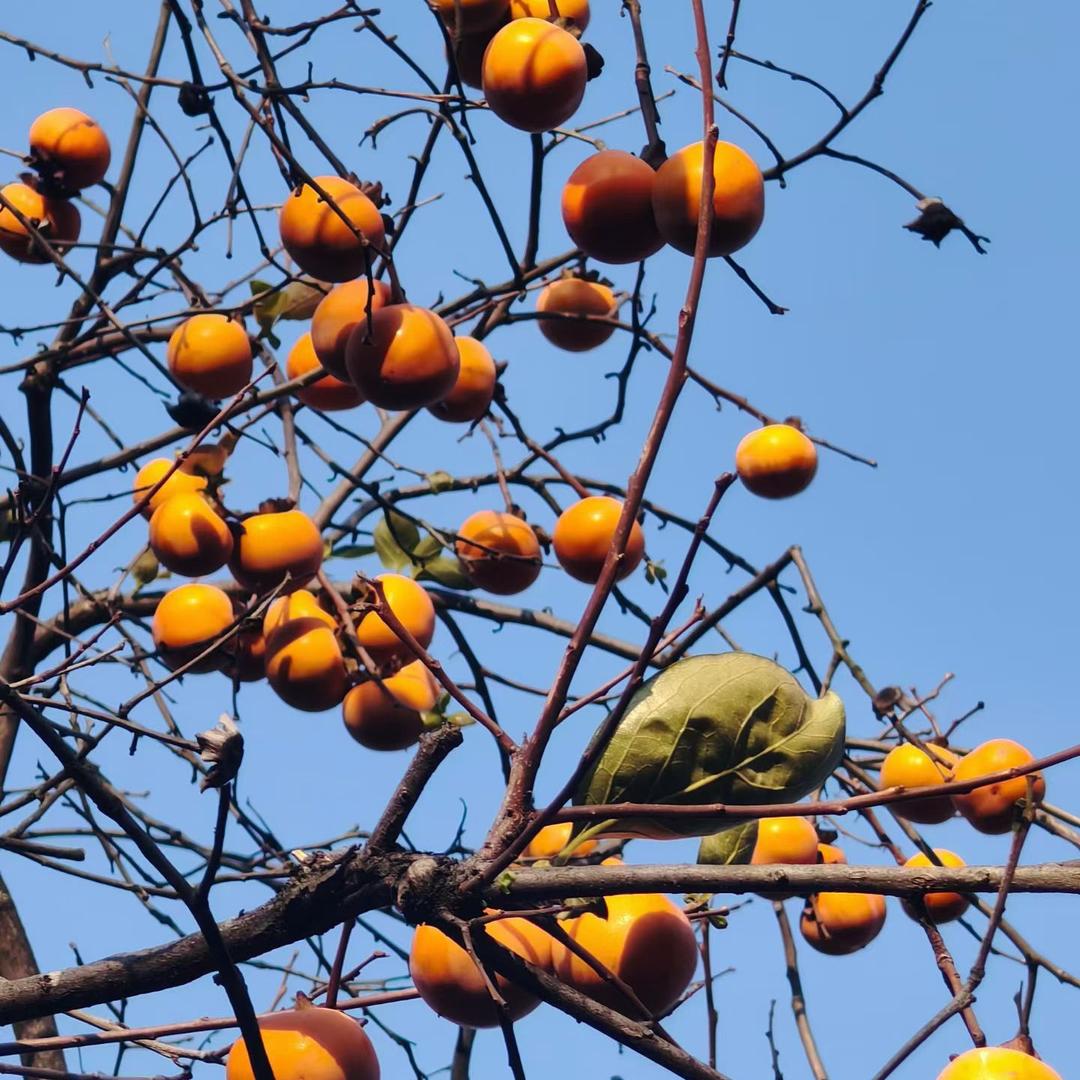 只有自己才是唯一的靠山
