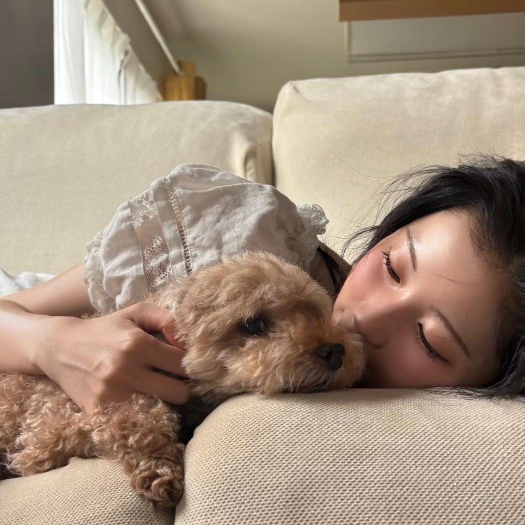 让你说话了吗🦈