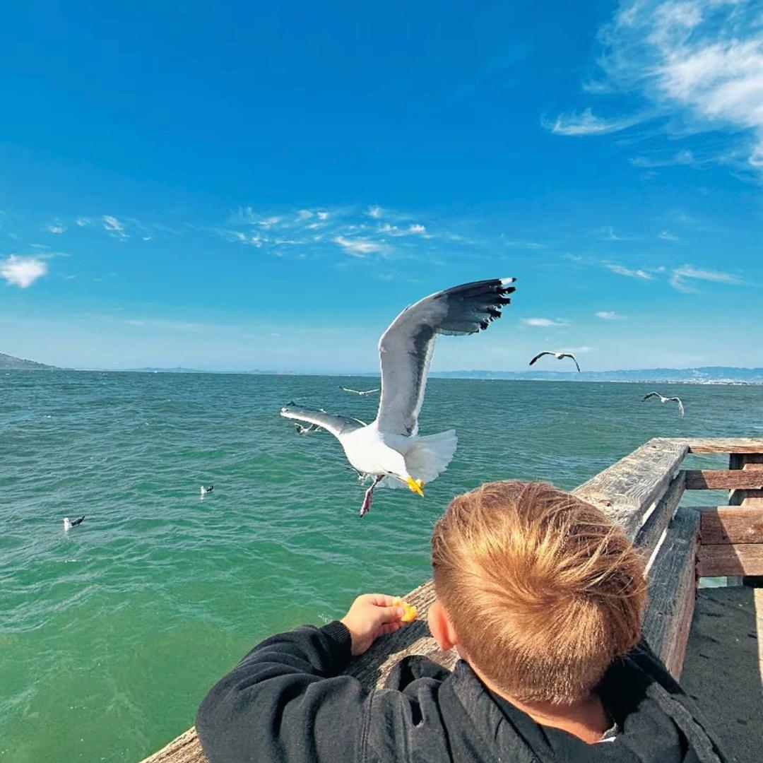 AAAAAA全球麦当劳代购