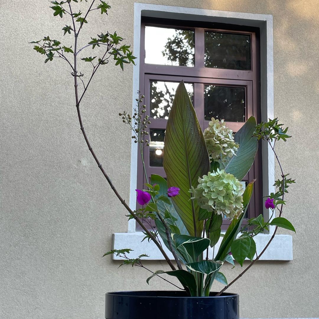 时鸣 花艺