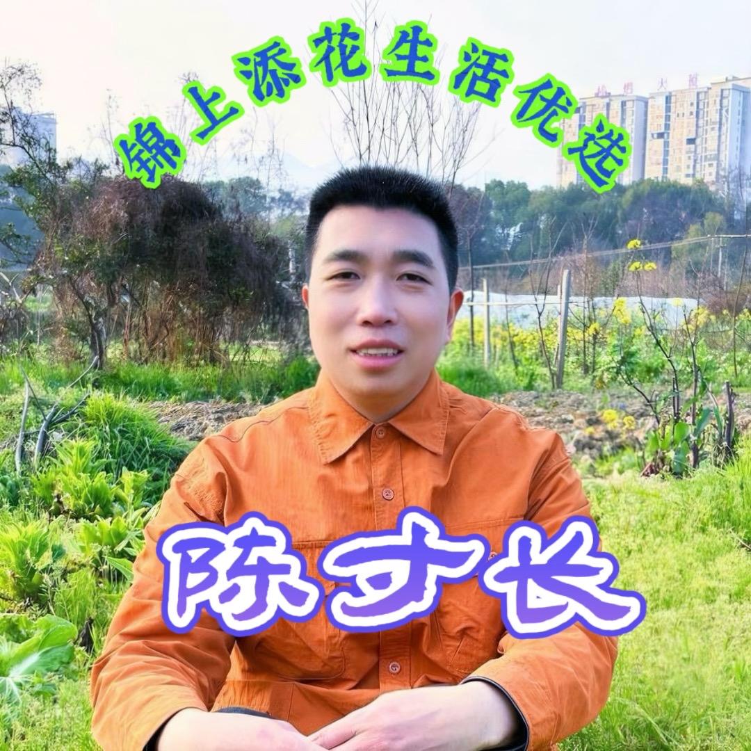 寸长优选