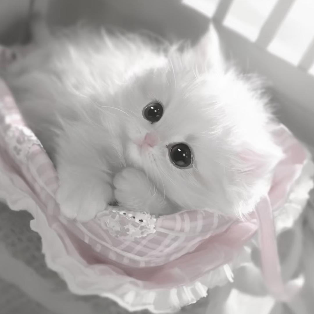小鹅蛋子