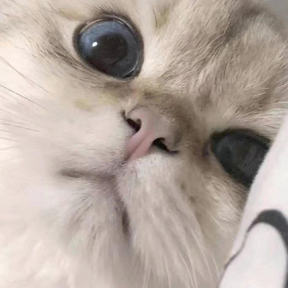 阿飞