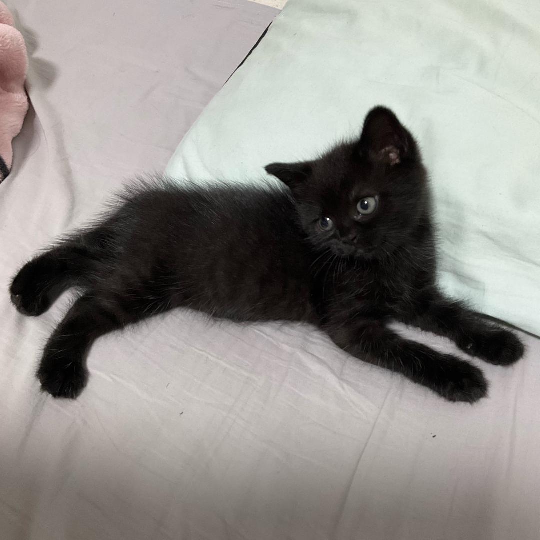小小徐