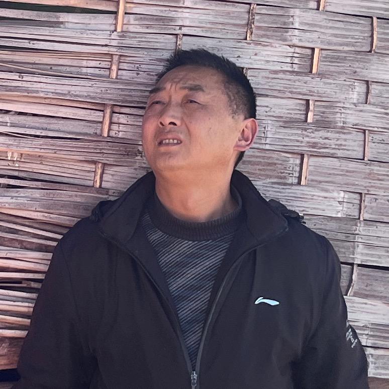 峡谷之风