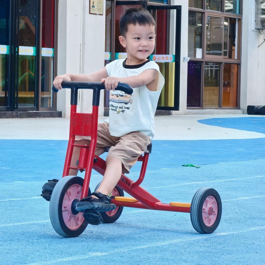 小老虎豆豆成长记