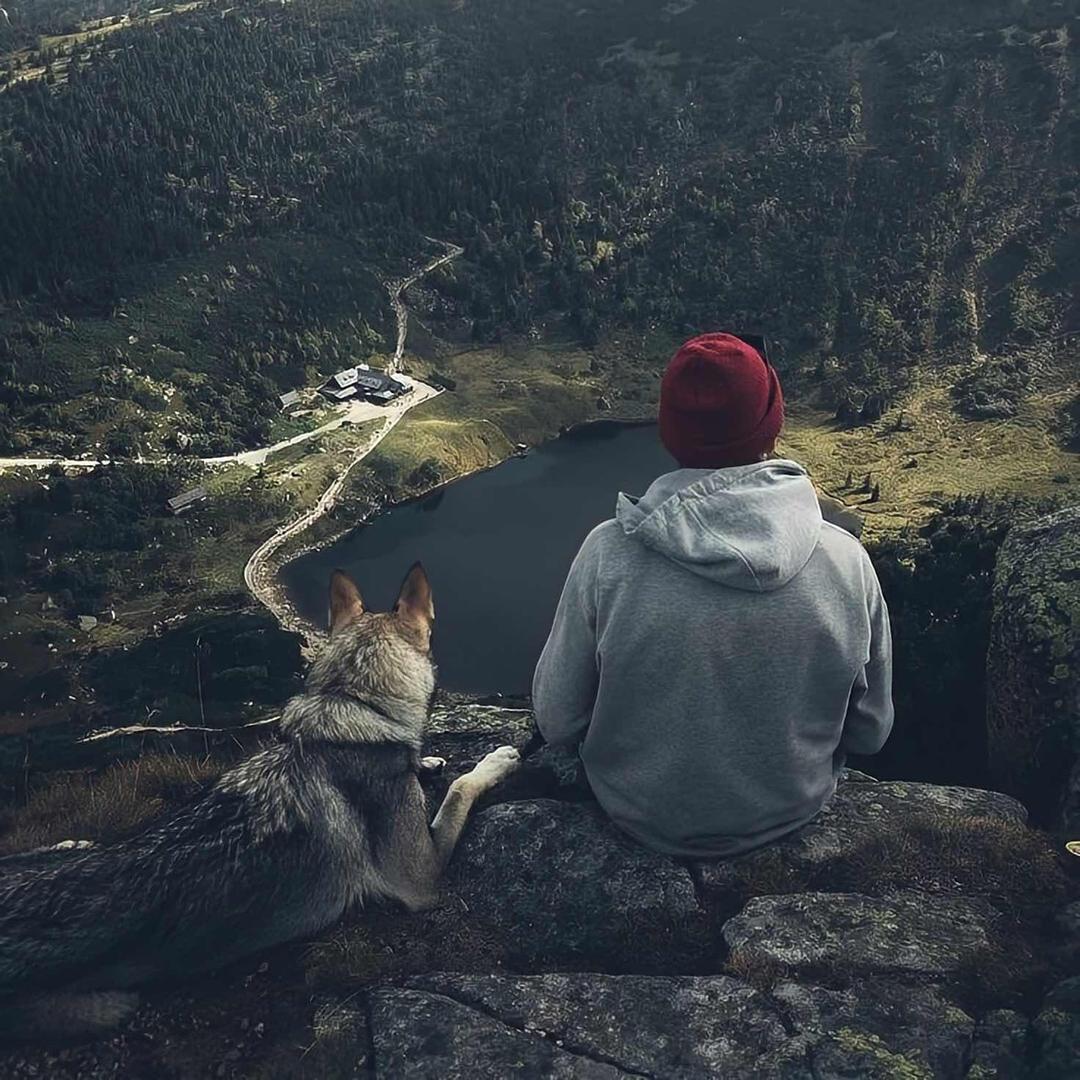 🐺