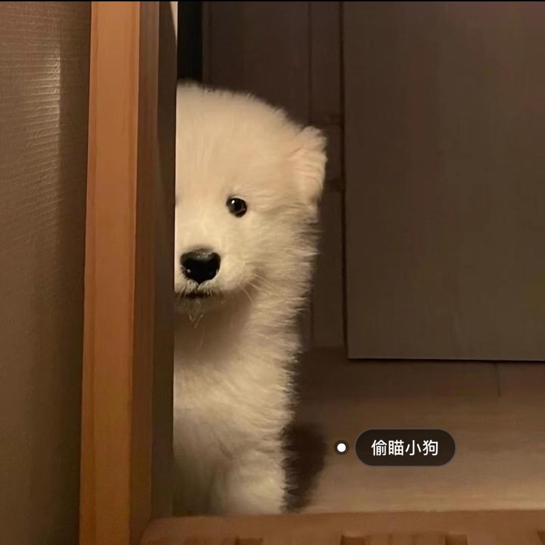 原来是超人