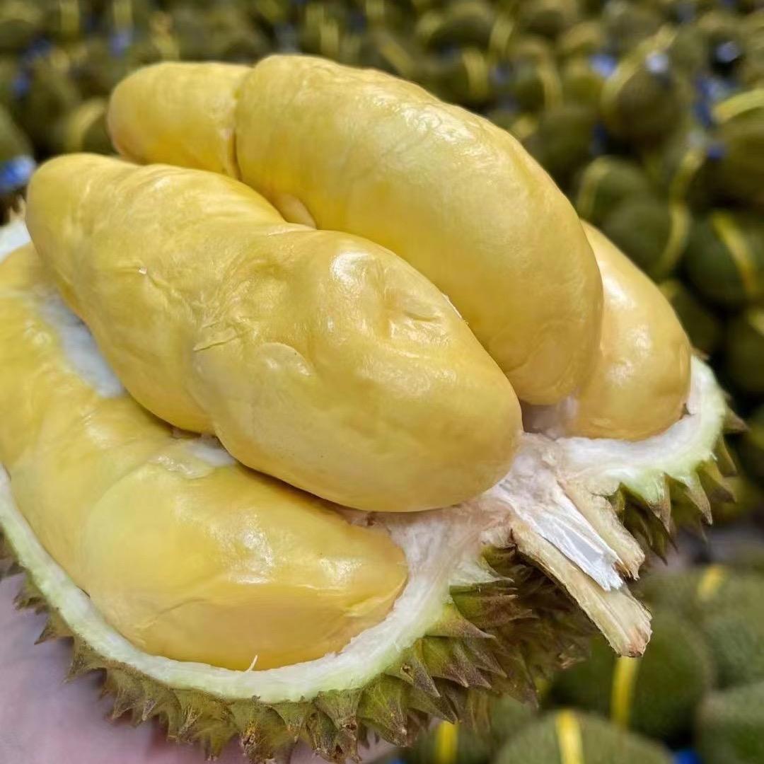 榴莲小炮
