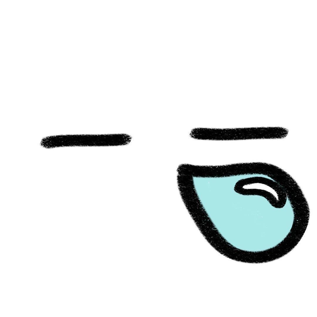 ₊⁺🐾₊⁺