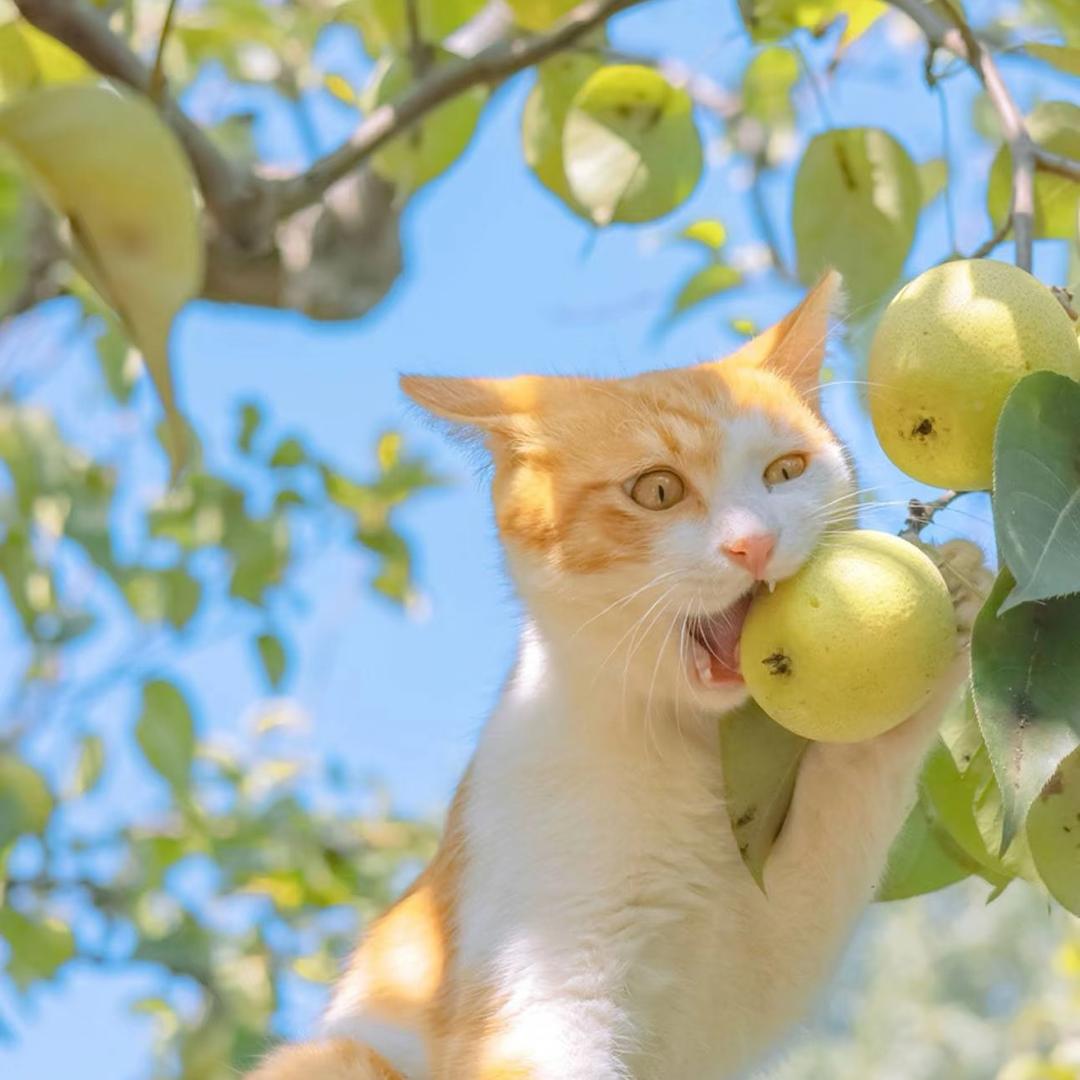 钢牙妹的朋友圈