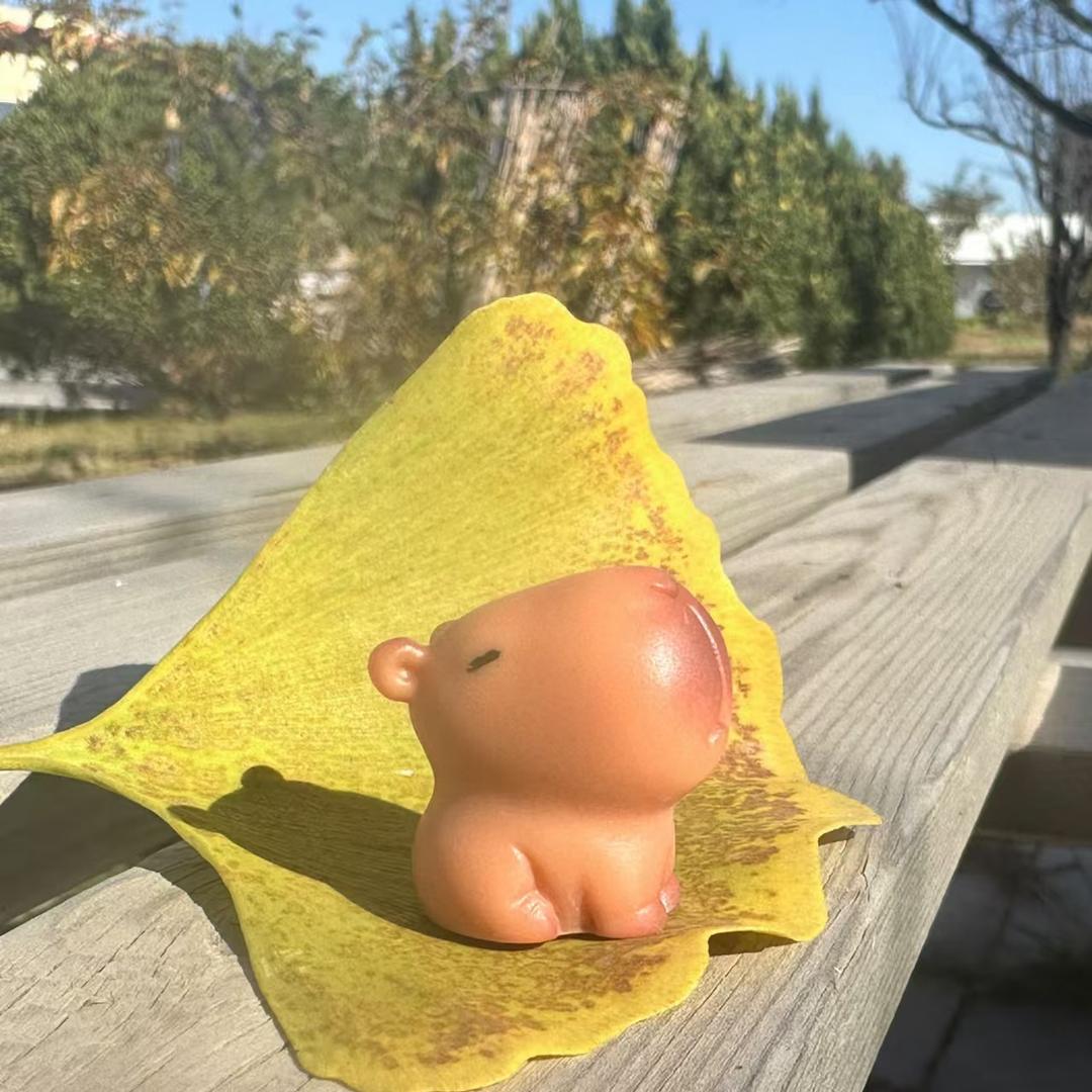 彼岸的曼珠沙华