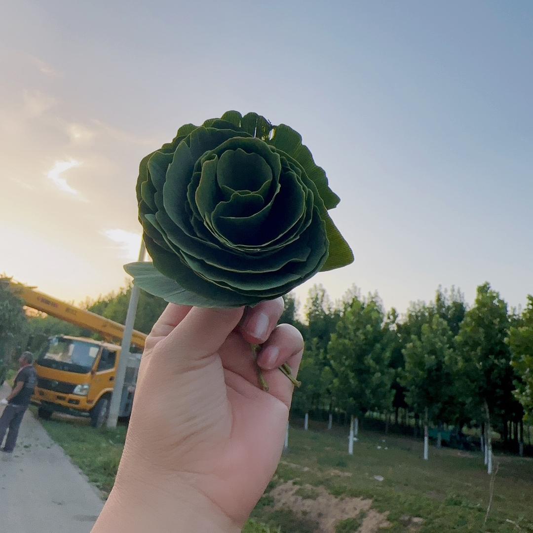 河北芳宇园林