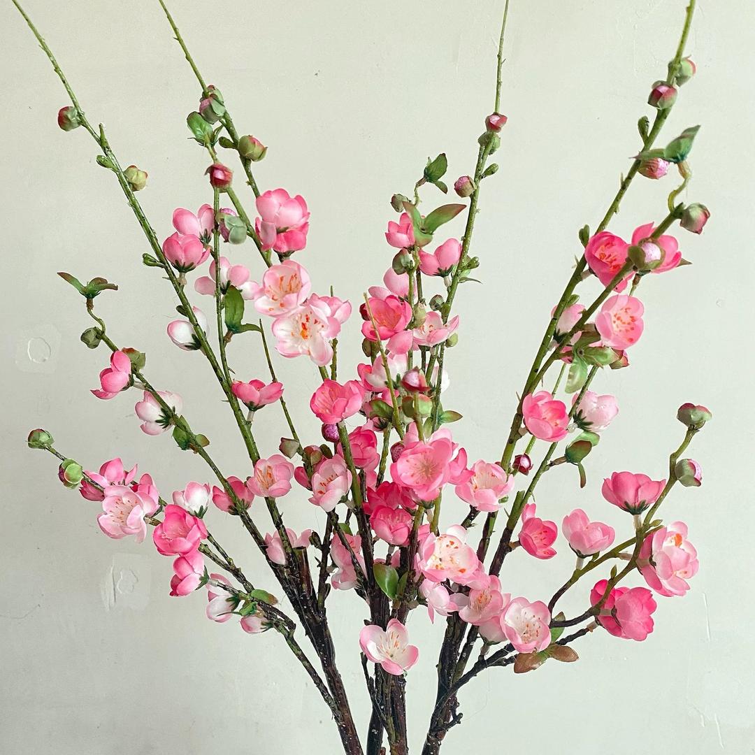 也也花卉小店铺