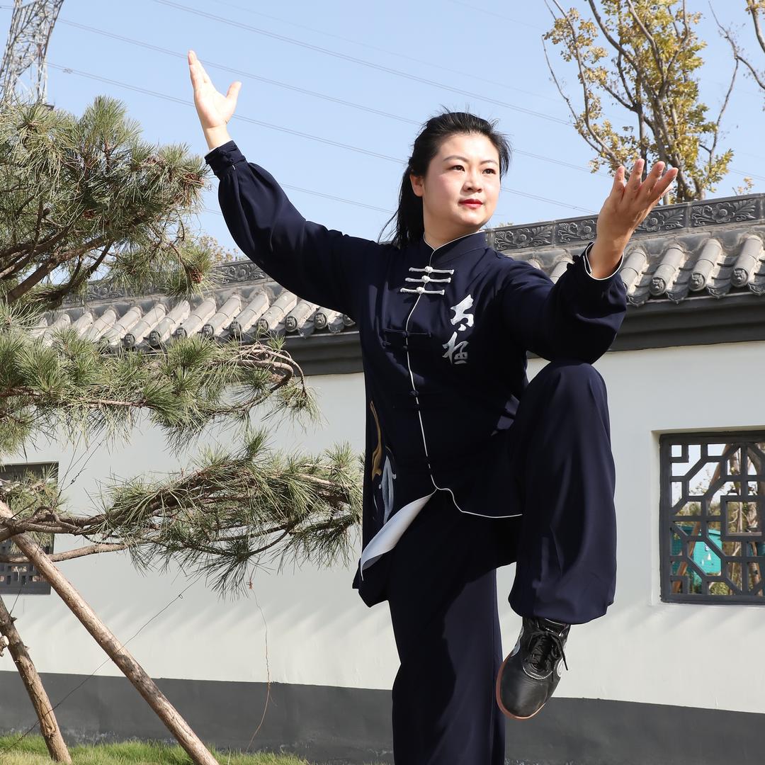 杨艳博士养生太极