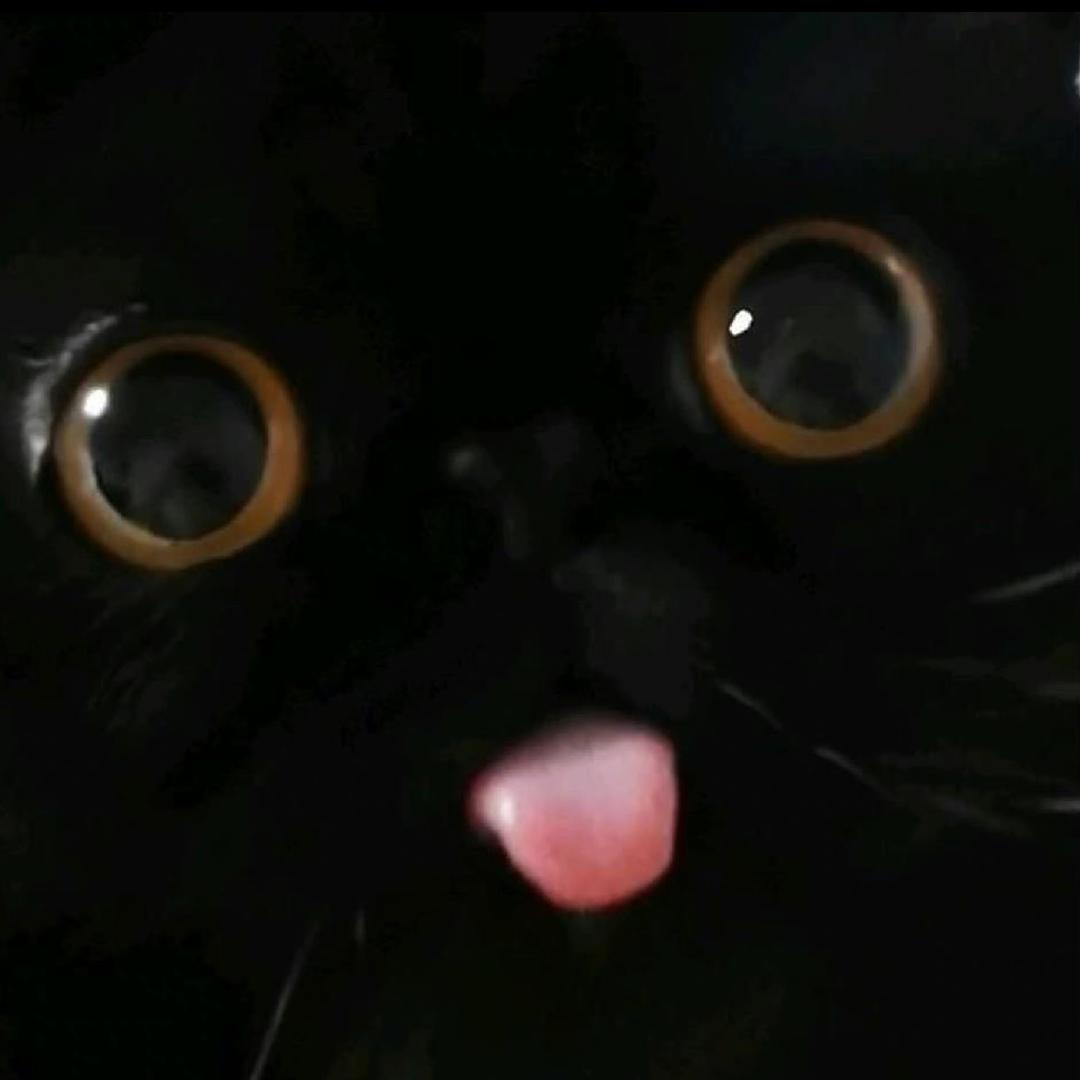 Leslie_Huaooo