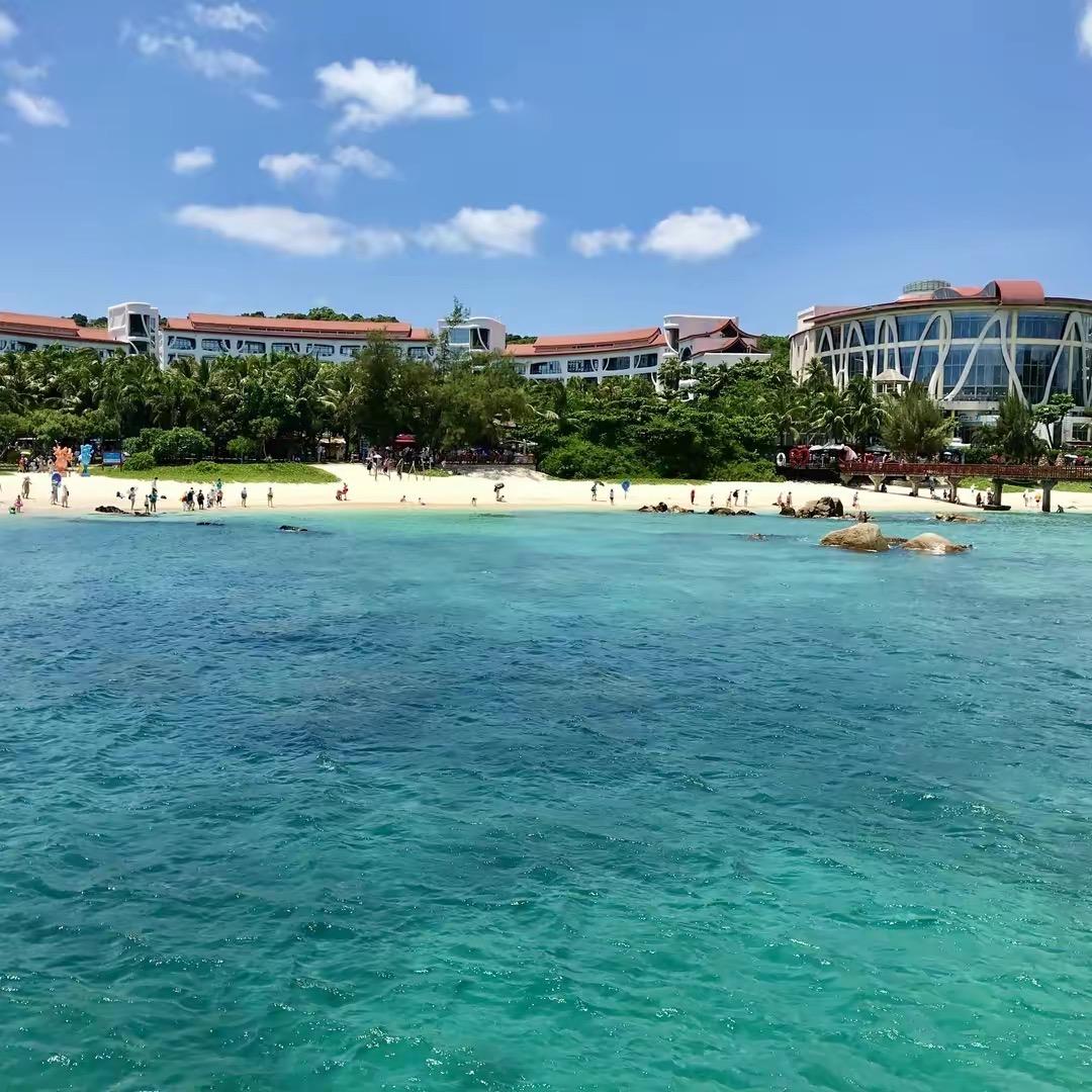 广州档口老板阿虎