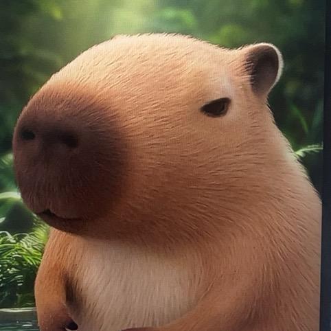 .s