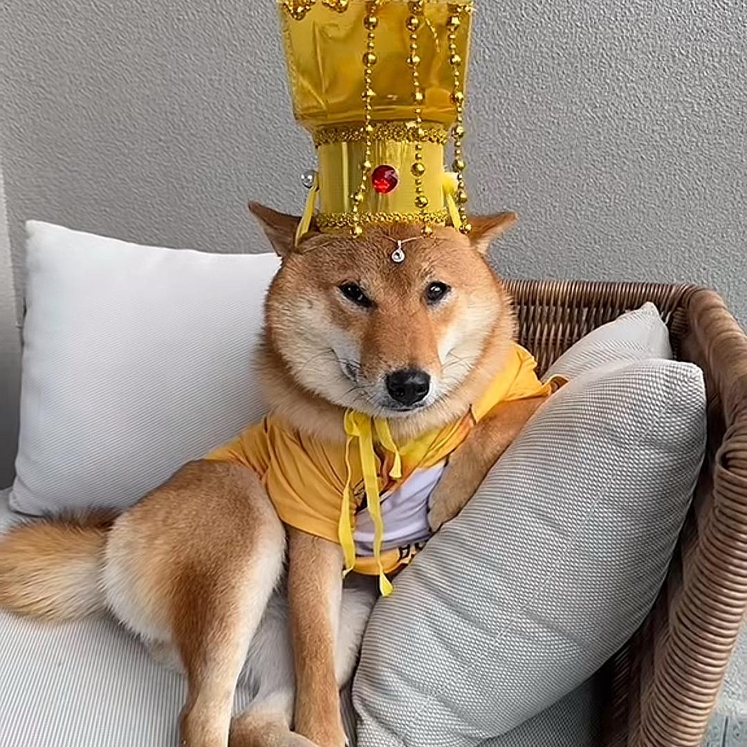 不想变秃头