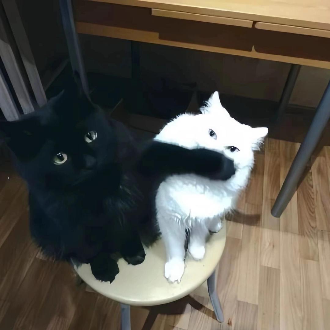 周末见