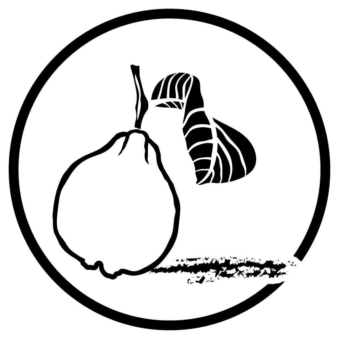 释迦毛驴