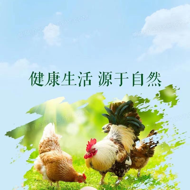 馨儿一家乡美味