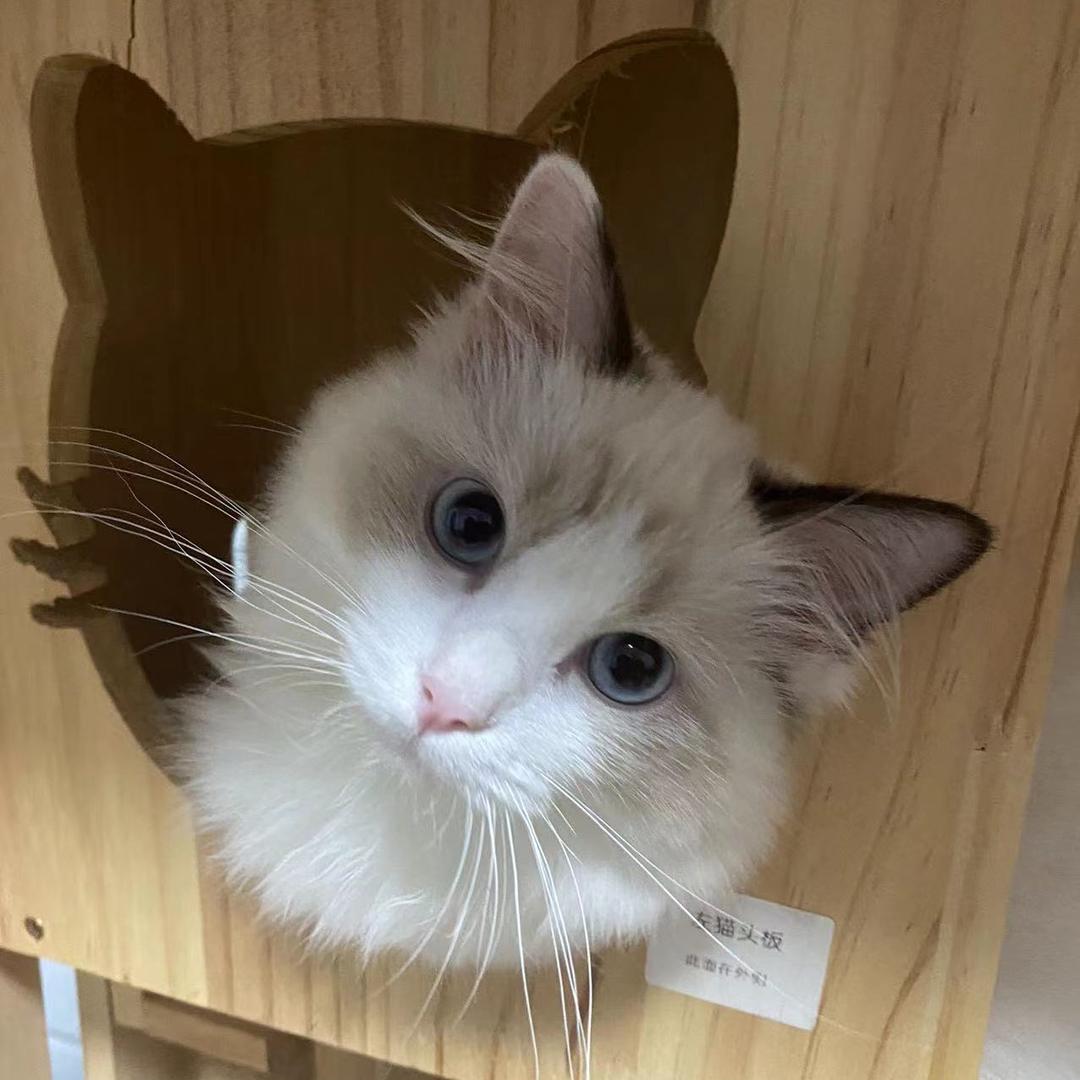 骄阳文化用品