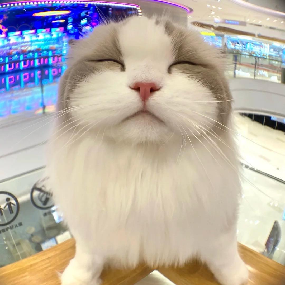 泪水打湿火鸡面