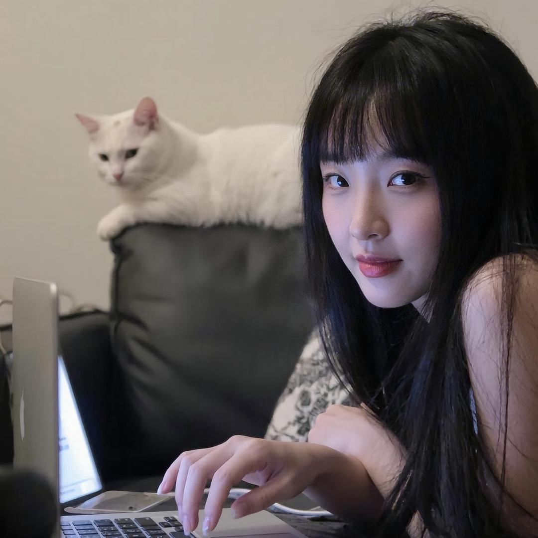 那份偏爱
